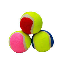 köpek oyuncağı tenis topu